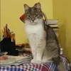 Отзыв от Дина Субботина